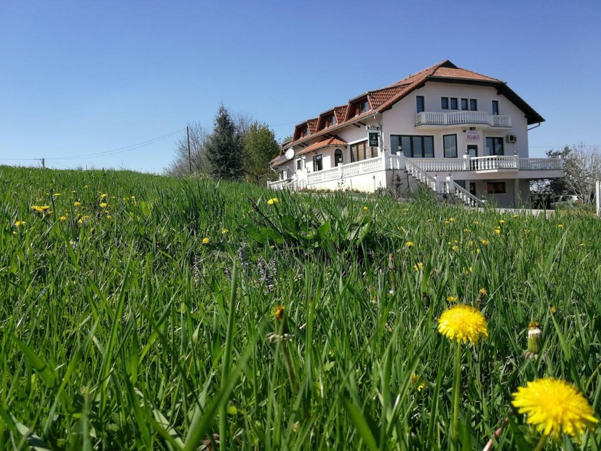 Hotel Kavana I Sobe Monika Grabrovnik Zewnętrze zdjęcie